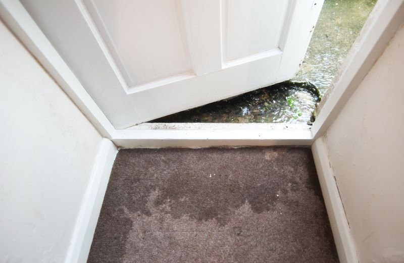 Carpet Water Damage Restoration