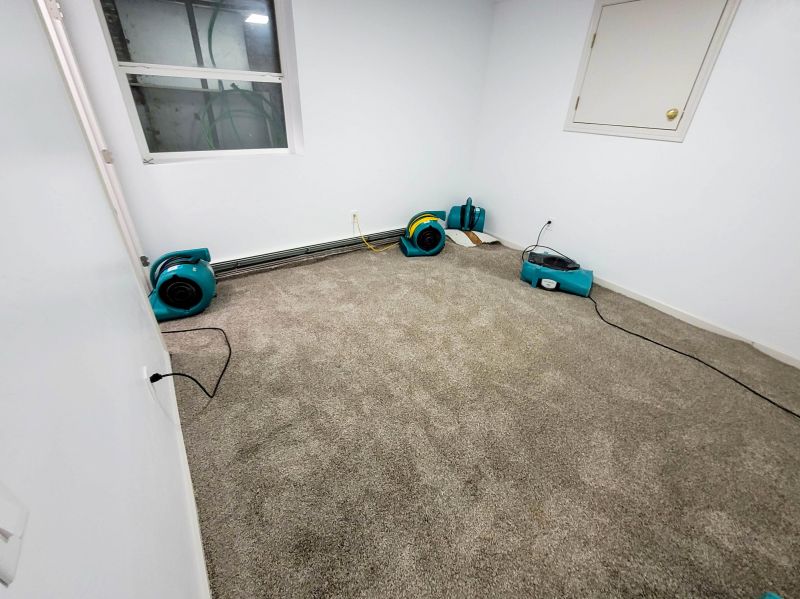 Carpet Water Damage Restoration