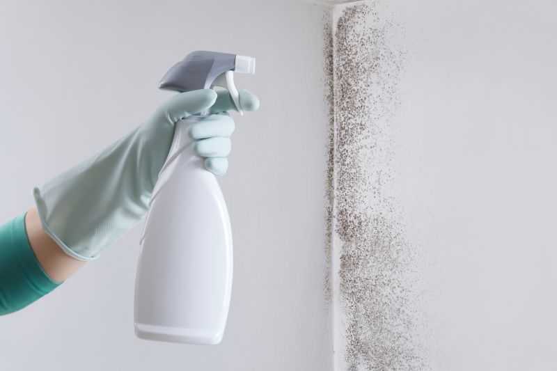 Mold Prevention