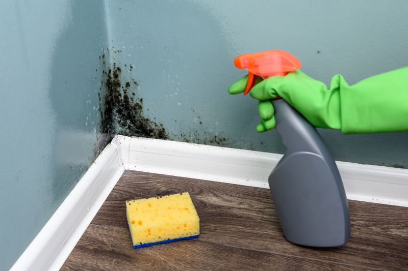 Mold Prevention