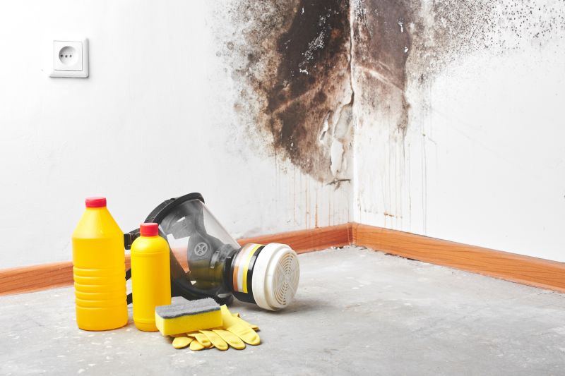 Mold Prevention