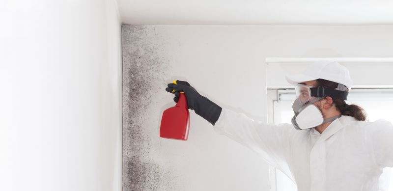 Mold Prevention